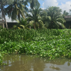 Thuê xe về miền Tây một chiều