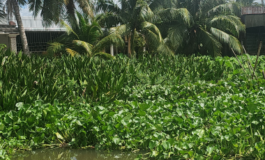 Thuê xe về miền Tây một chiều