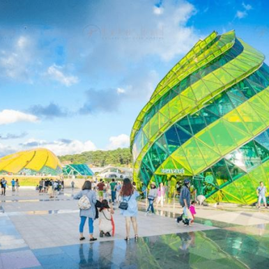 Thuê Xe Du Lịch Có Tài Xế Đi Đà Lạt